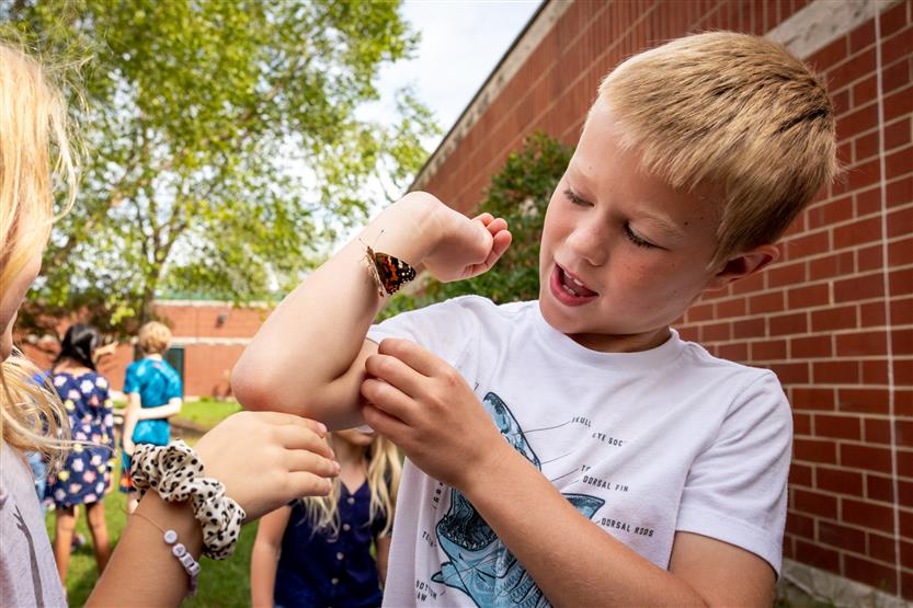 A boy watches butterflies being released